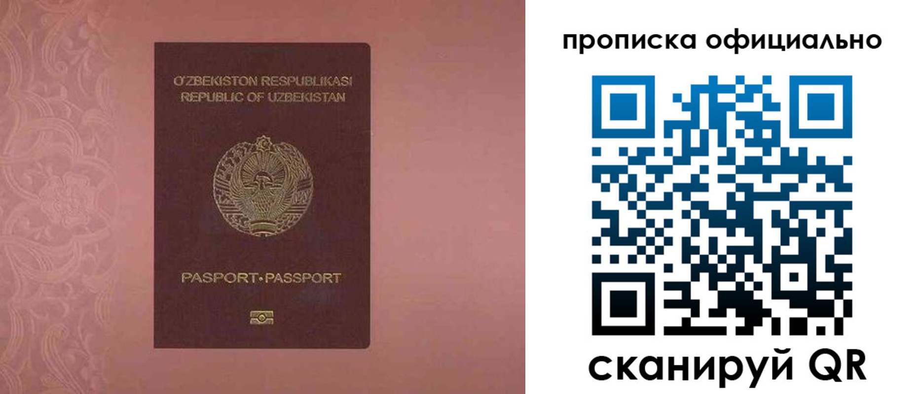 прописка для школы в Североморске